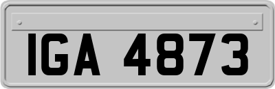IGA4873