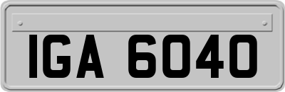 IGA6040