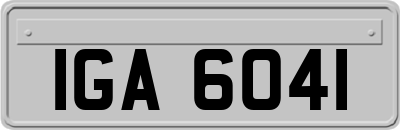 IGA6041