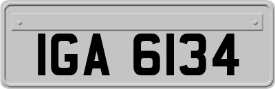 IGA6134