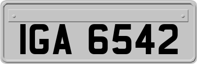 IGA6542