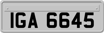 IGA6645