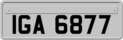 IGA6877