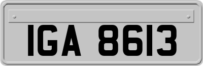 IGA8613