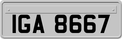 IGA8667