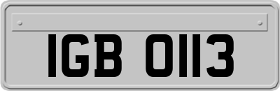 IGB0113