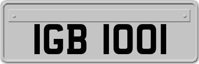 IGB1001