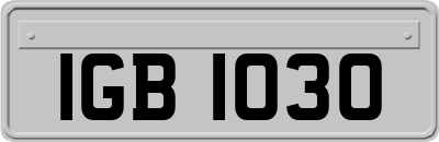 IGB1030