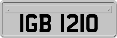 IGB1210