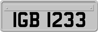 IGB1233