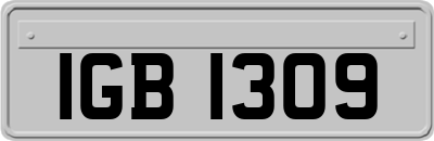 IGB1309