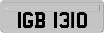IGB1310