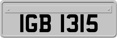 IGB1315