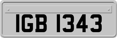 IGB1343