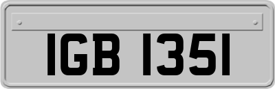 IGB1351
