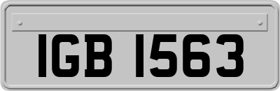 IGB1563