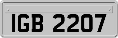 IGB2207