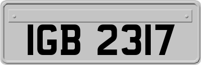 IGB2317