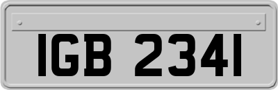 IGB2341