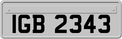 IGB2343