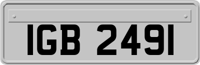 IGB2491