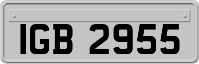 IGB2955