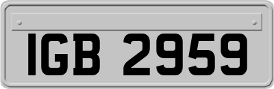 IGB2959