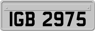 IGB2975