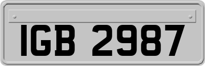 IGB2987