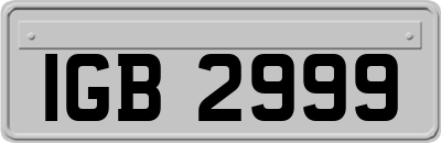 IGB2999