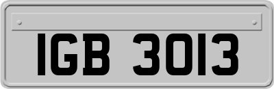 IGB3013