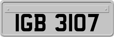 IGB3107