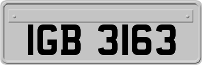 IGB3163