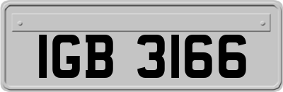 IGB3166