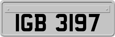 IGB3197