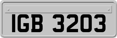 IGB3203
