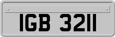 IGB3211