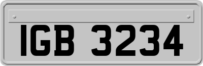 IGB3234