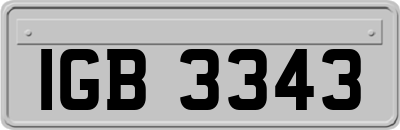 IGB3343