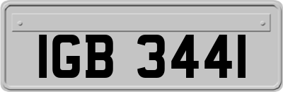 IGB3441