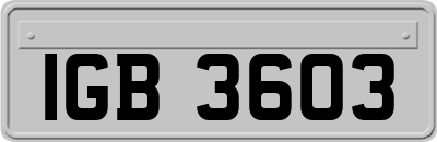 IGB3603
