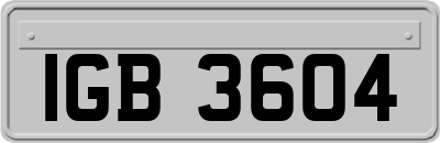IGB3604