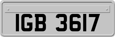 IGB3617