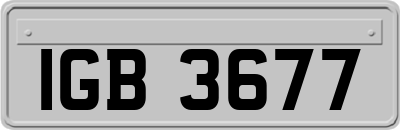 IGB3677