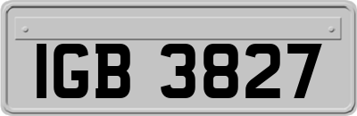 IGB3827