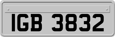 IGB3832