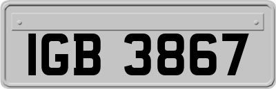 IGB3867
