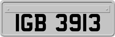 IGB3913