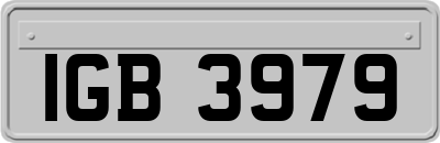 IGB3979