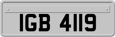 IGB4119